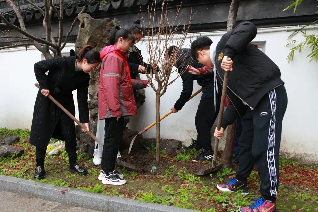 苏州市平直实验小学校